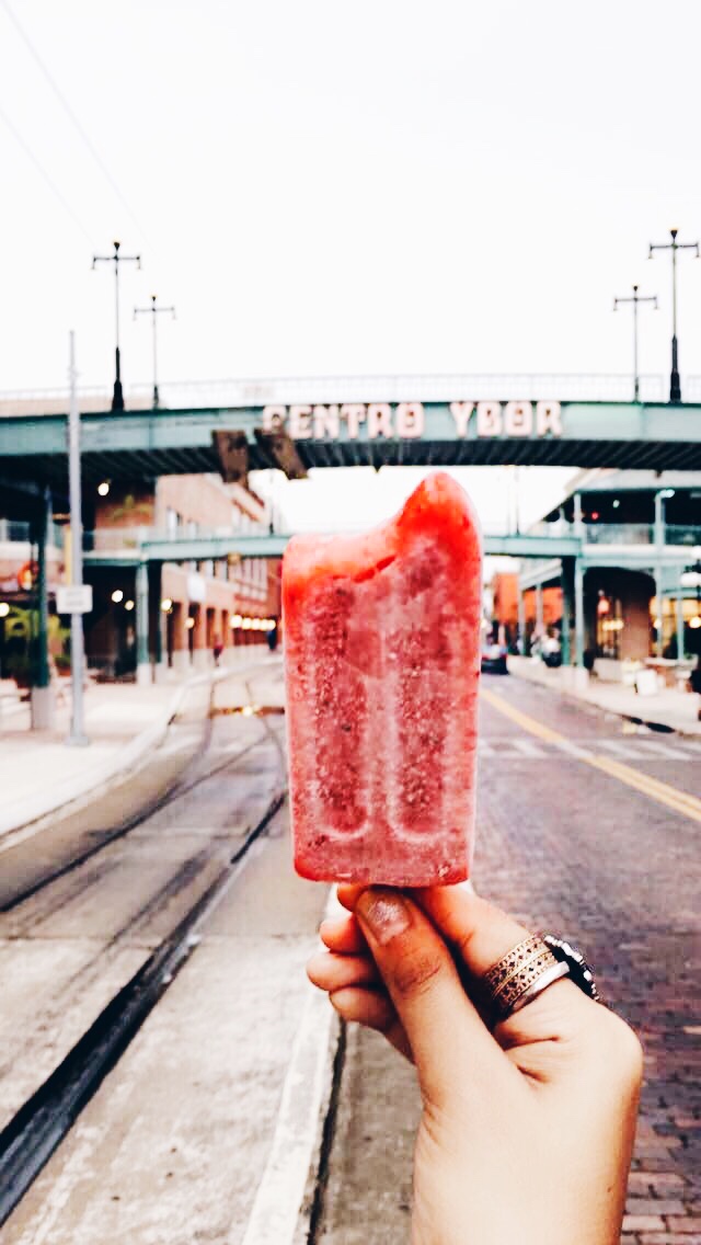 strawberry basil Popsicle the hyppo